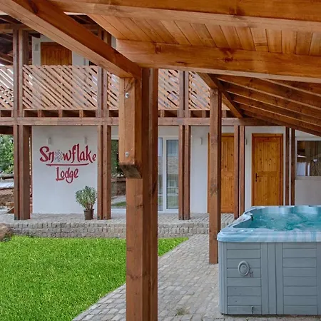Holiday home сноуфлейк Snowflake And Snowflake