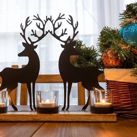 сноуфлейк Snowflake And Snowflake * Μπάνσκο