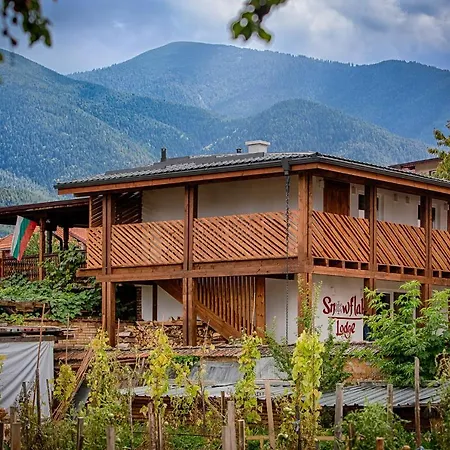 сноуфлейк Snowflake And Snowflake * Banszko