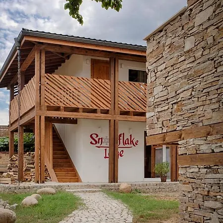 сноуфлейк Snowflake And Snowflake