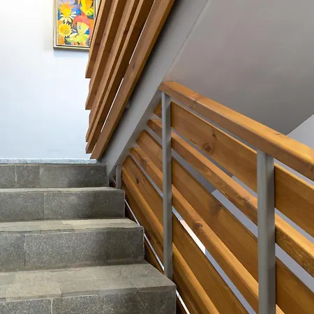 сноуфлейк Snowflake And Snowflake バンスコ