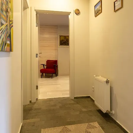 Nyaraló сноуфлейк Snowflake And Snowflake Banszko