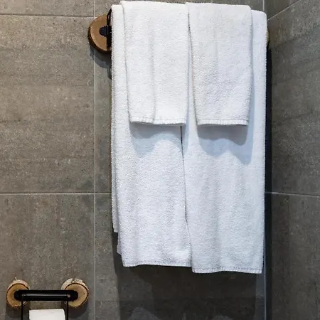 сноуфлейк Snowflake And Snowflake 別荘