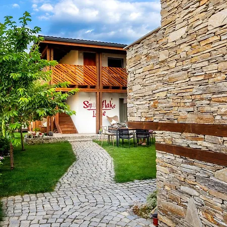 сноуфлейк Snowflake And Snowflake * バンスコ