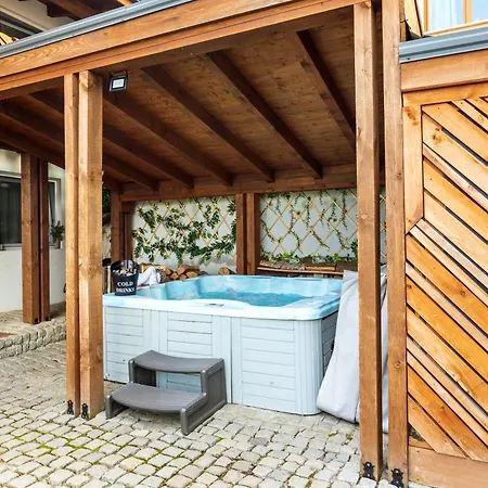 Nyaraló сноуфлейк Snowflake And Snowflake Banszko