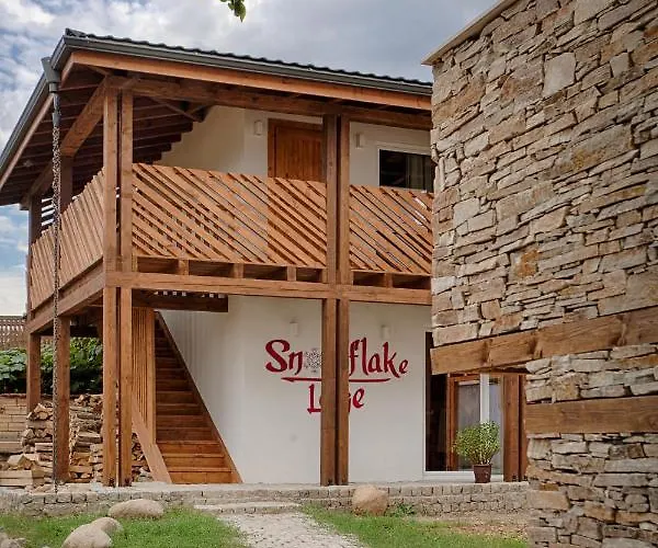 сноуфлейк Snowflake And Snowflake